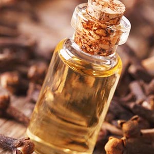 CLOVE BUD OIL